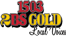 2BS Gold logo