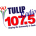 Tulip Radio